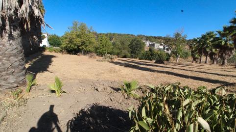 Foto 2 de Finca rústica en venda a Ma-7403, 4, Partidas Norte, Ronda