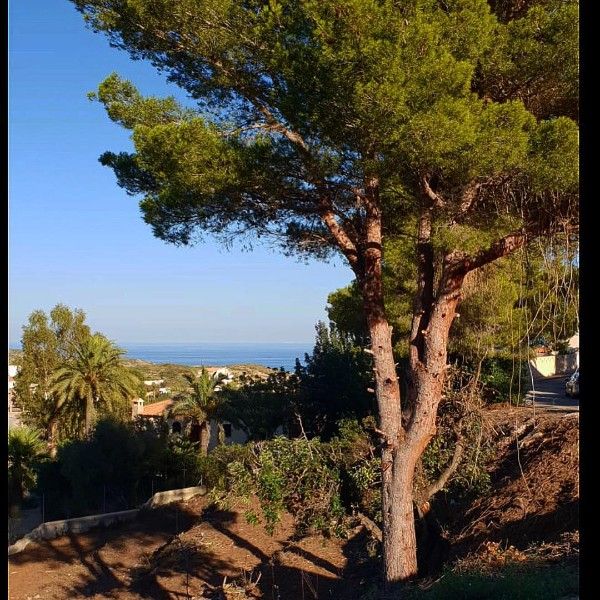 Residential for sale in Cumbre del Sol