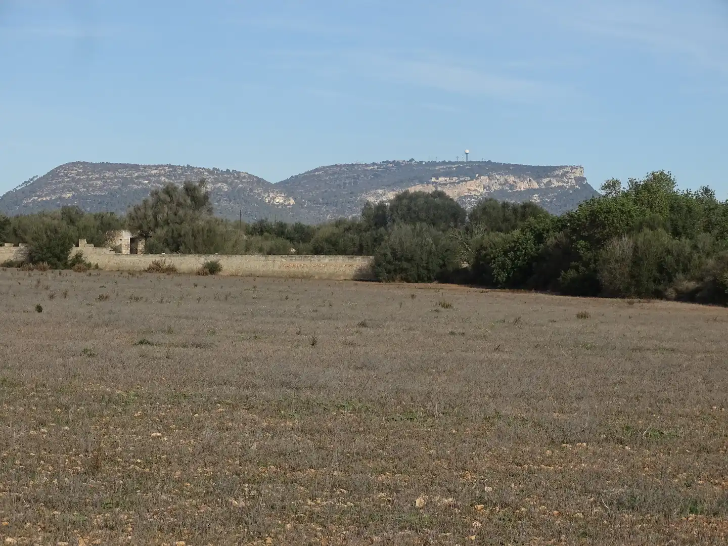 Terreno rustico in vendita a Llucmajor pueblo, imagen 8