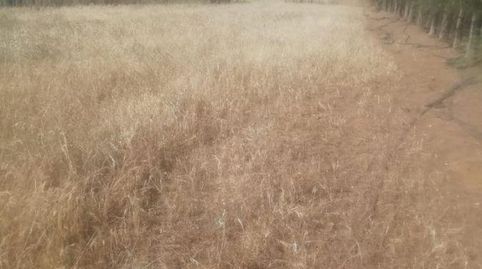 Photo 2 of Residential for sale in La Zarza (Badajoz), Badajoz