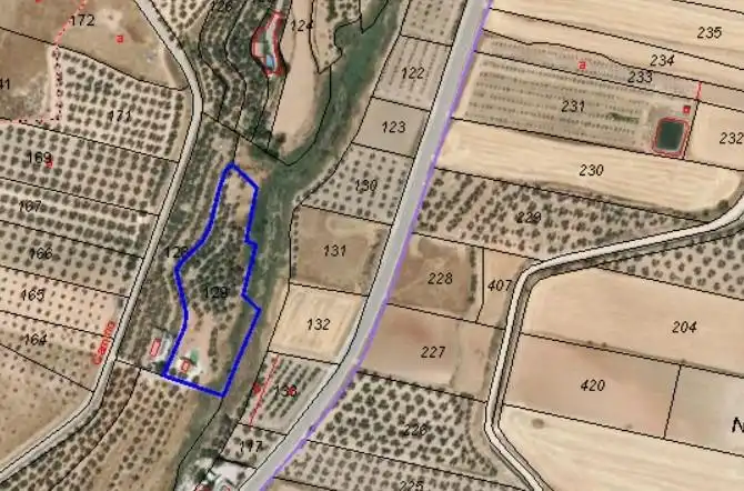 Terreny rústic en venda a Pilon, imagen 14
