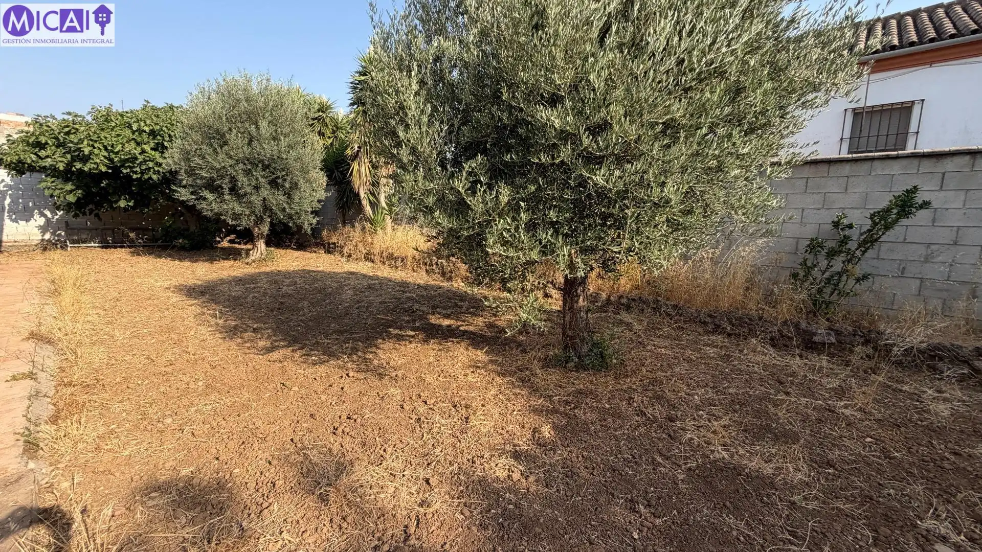 Xalet amb terrassa en venda a Los Franceses – La Vega, imagen 45