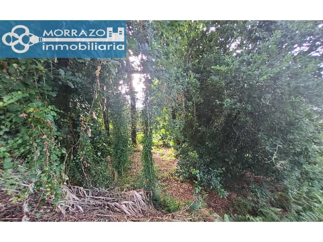 Residential for sale in Marín