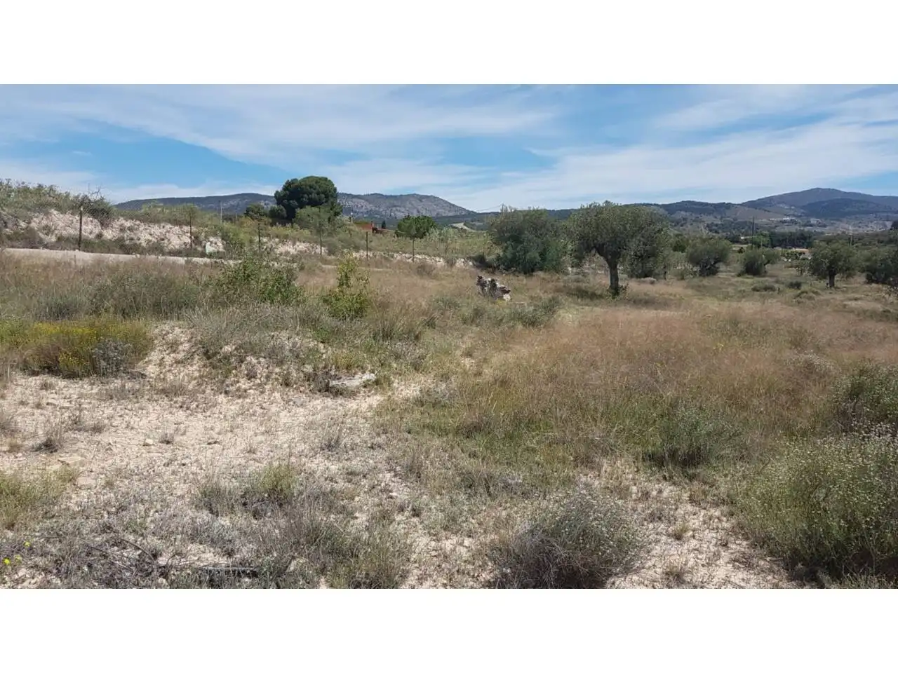 Wohnbaugrundstück zum Verkauf in Pasaje PARTIDA PINOSES, imagen 4