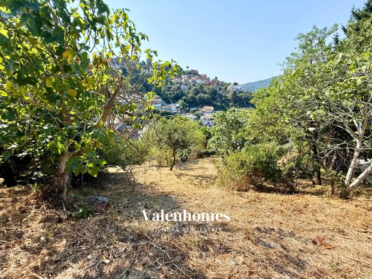 Terreno residenziale in vendita a Les Planes, imagen 5