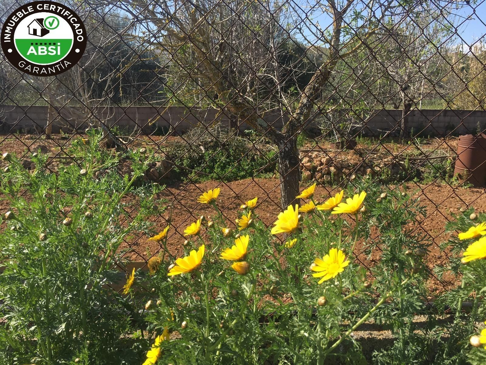 Jardí de Residencial en venda en Marratxí
