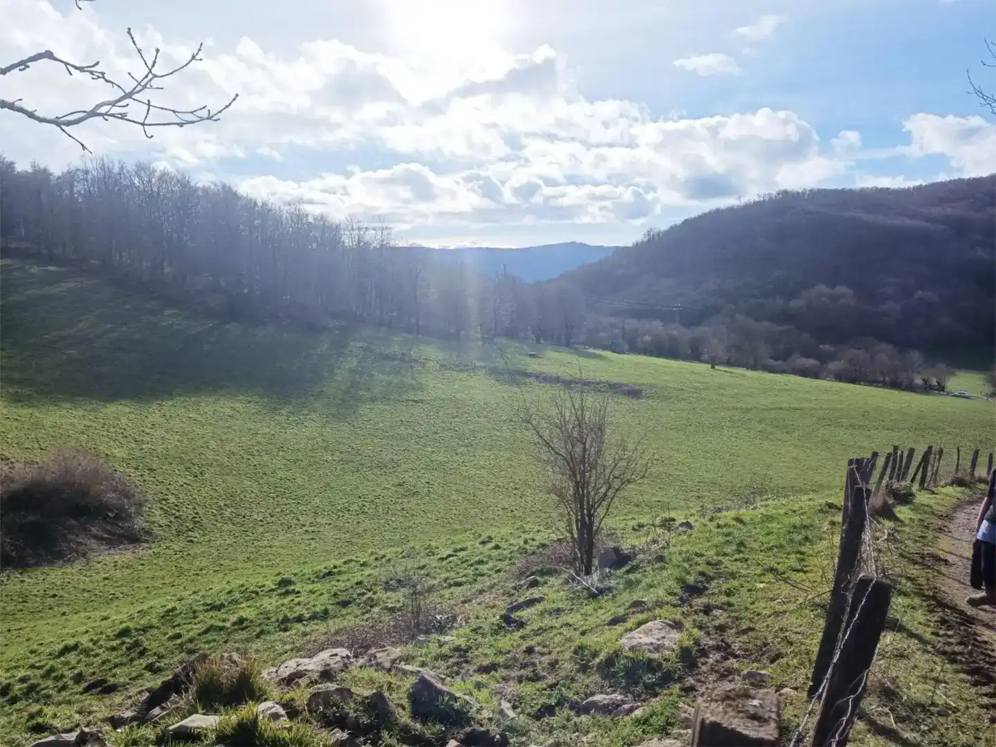 Terreno en venta en Larraun