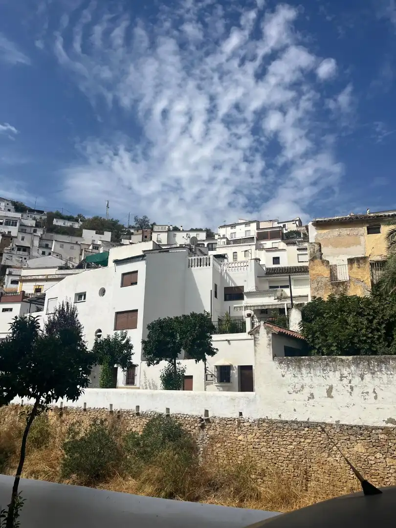 Vista exterior de Casa o chalet en venta en Setenil de las Bodegas con Jardín privado y Trastero