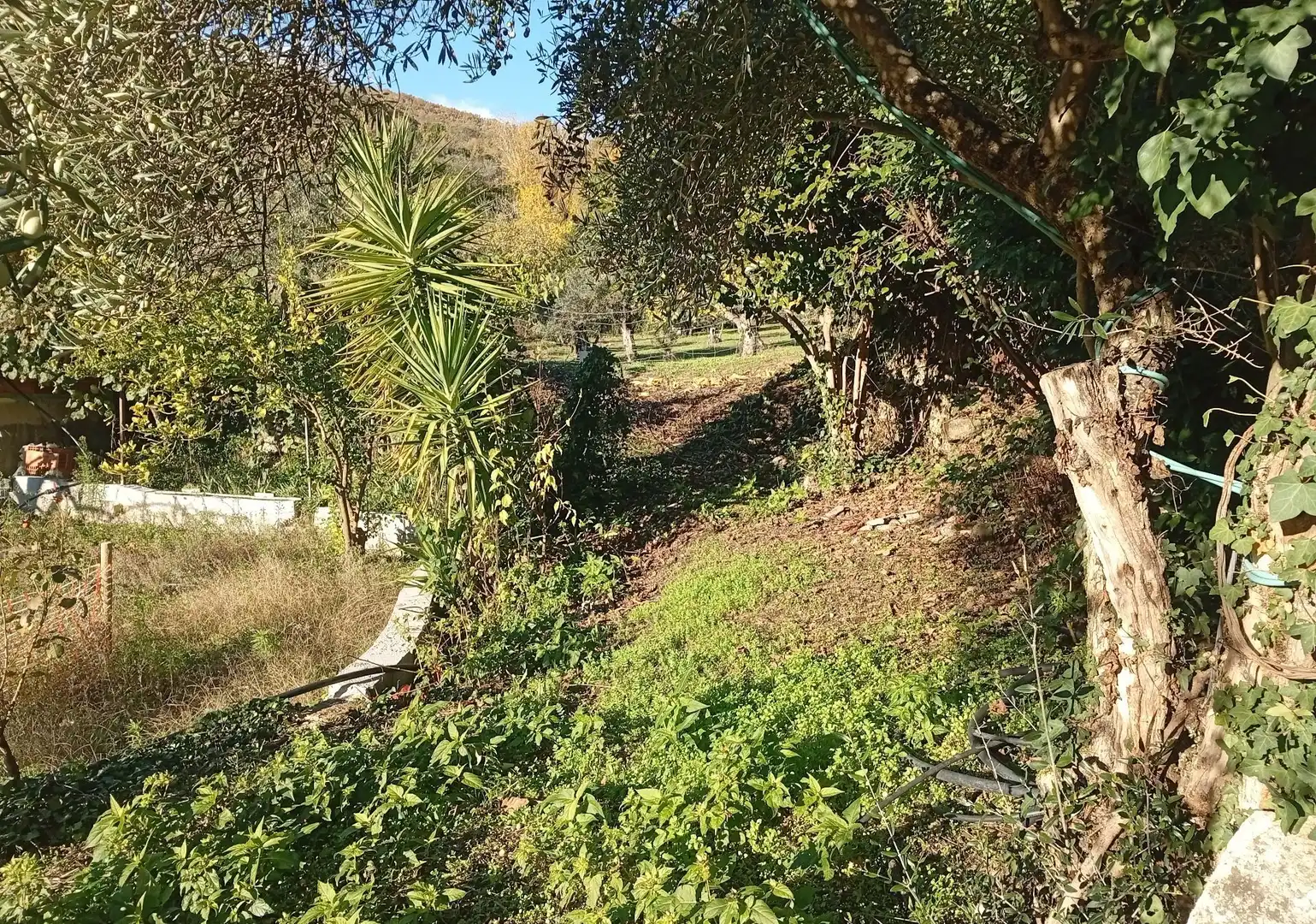 Terreni e lotti in vendita a Villanueva de la Vera, imagen 37