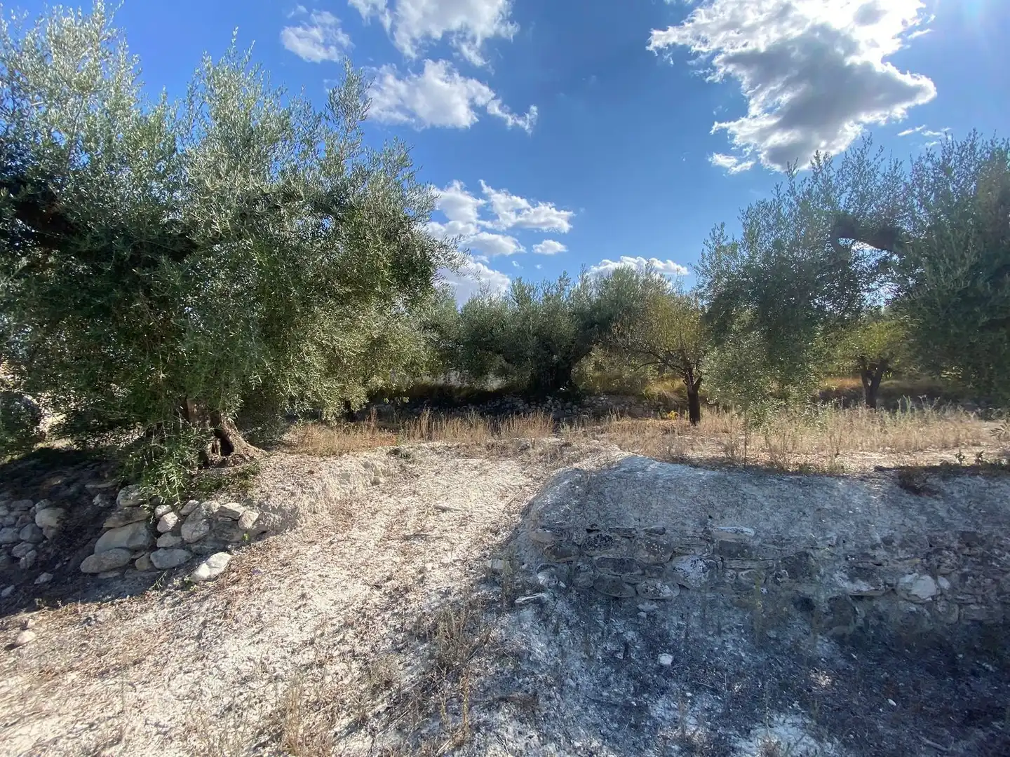 Terreny rústic en venda a Moratalla, imagen 18