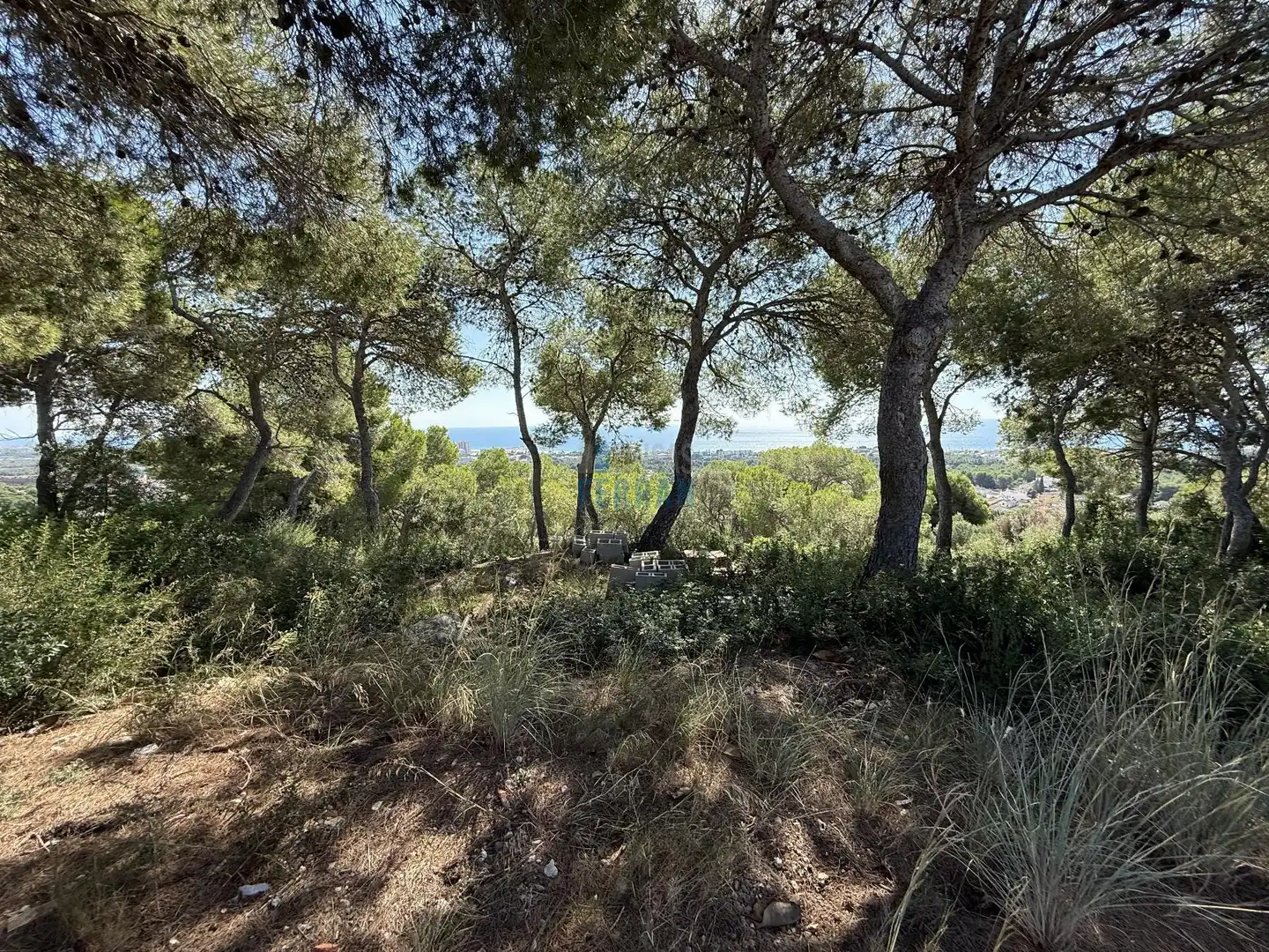 Terreni e lotti in vendita a Els Masos - Els Garrofers, imagen 5