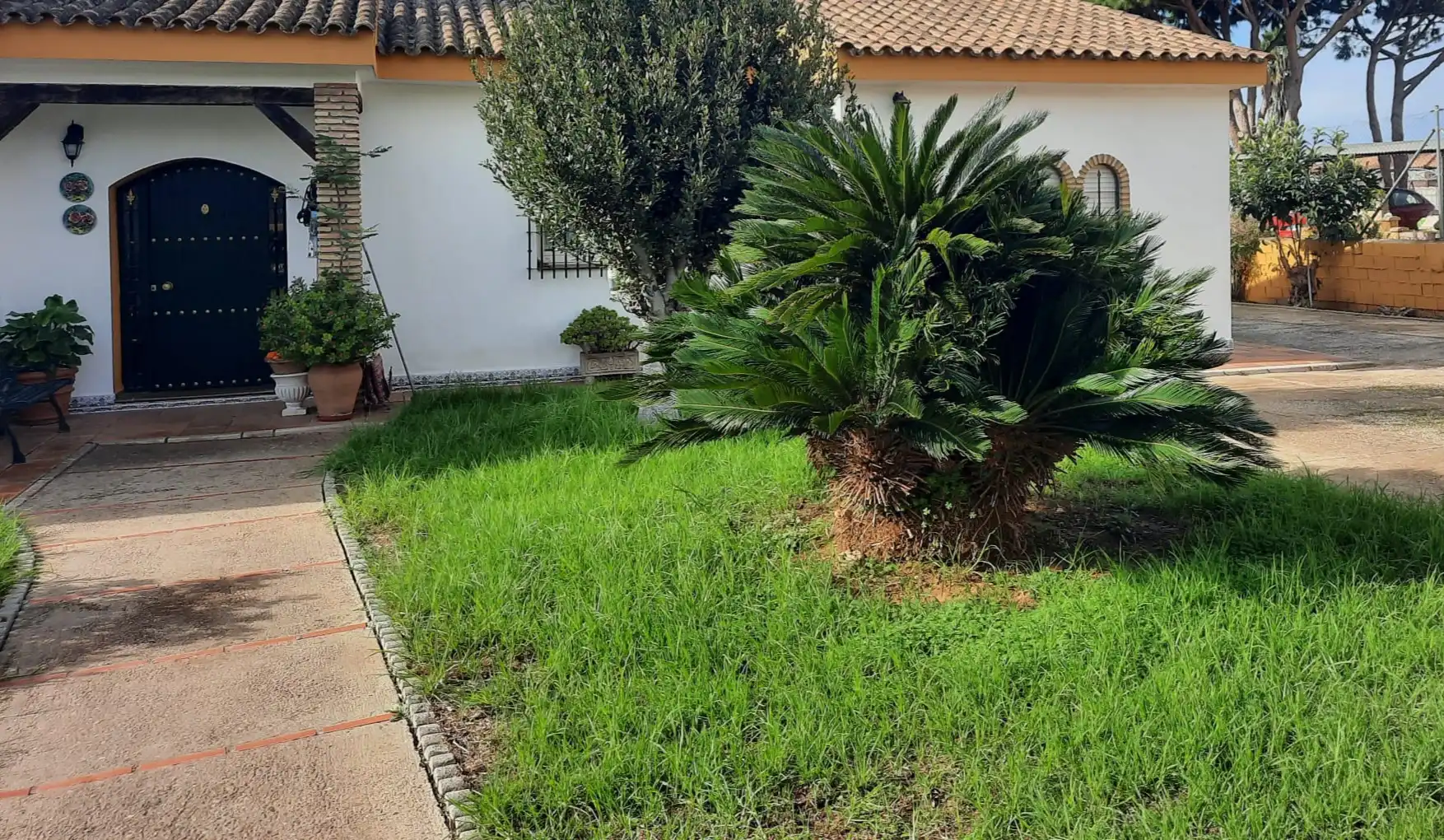 Chalet con terraza en venta en Las Lagunas - Campano, imagen 17