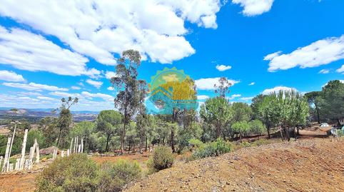 Foto 2 de Finca rústica en venda a Calañas, Huelva