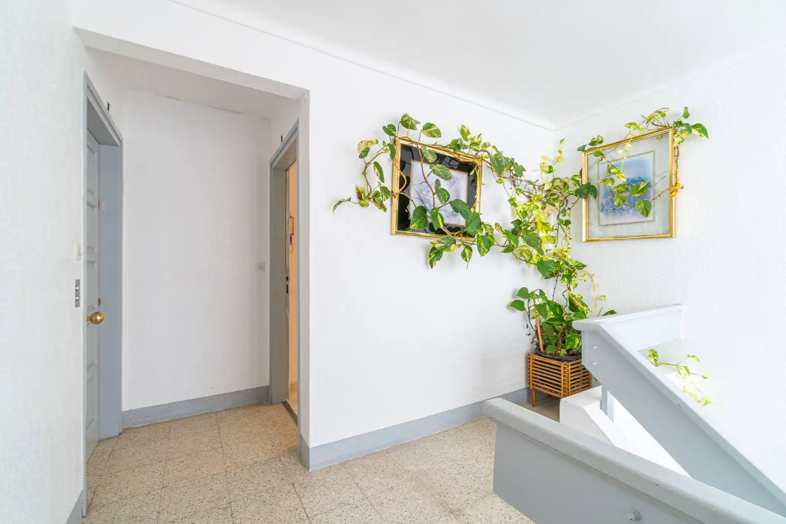 Apartments for sale in Centre
