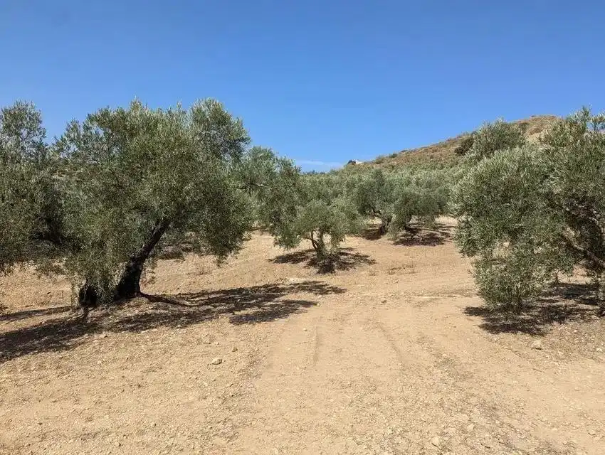 Terrenys i solars en venda a Zona de la Vega, imagen 7