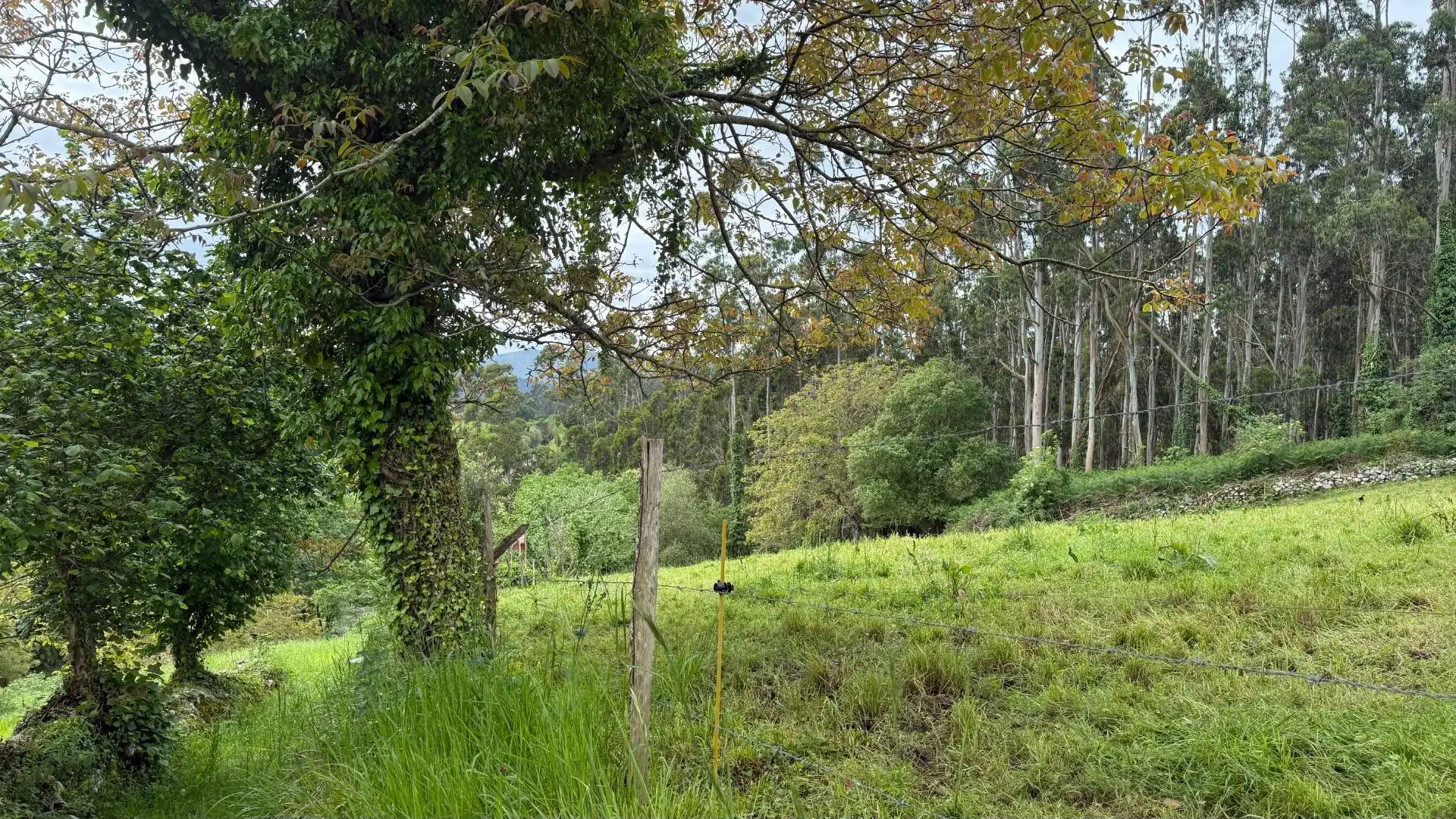 Terreno en venta en Valdáliga