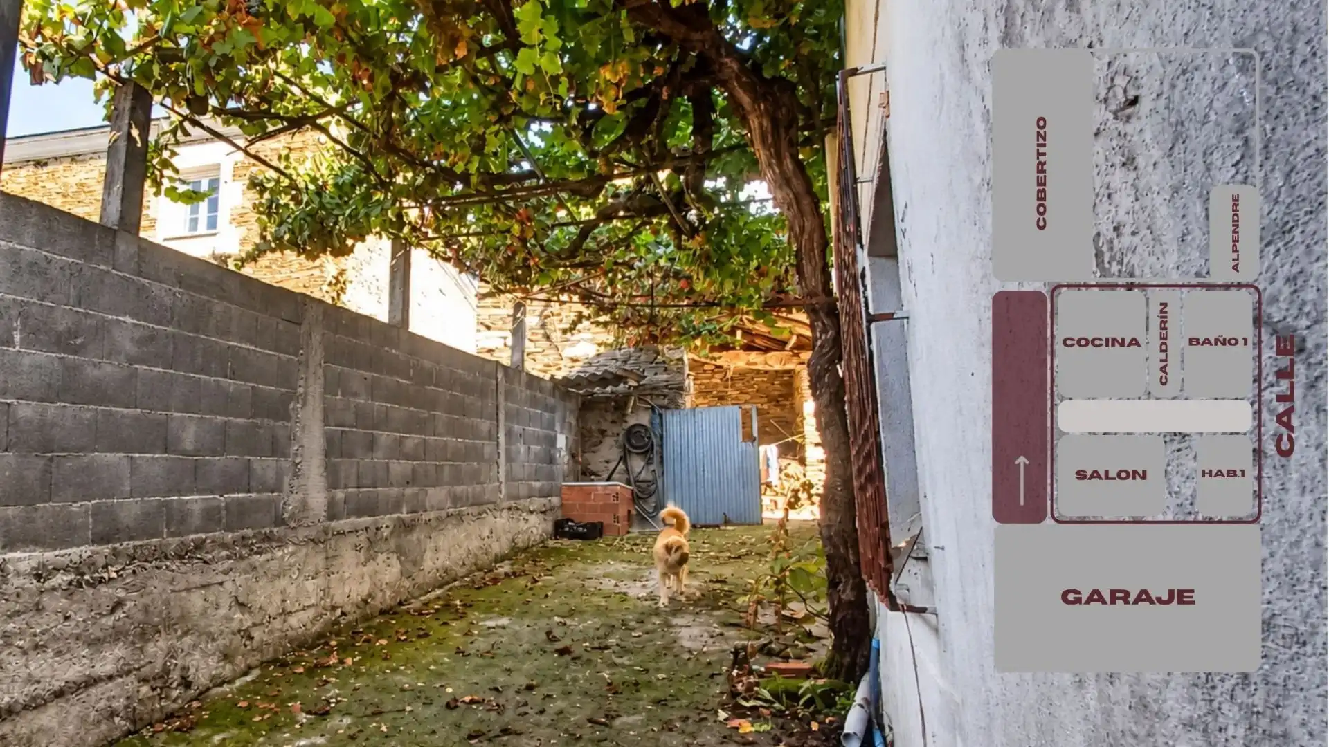 Haus mit Garten zum Verkauf in Guntín, imagen 14