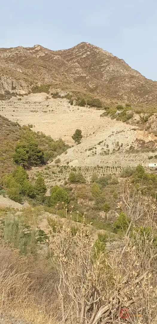 Terrenys i solars en venda a Molvízar, imagen 8