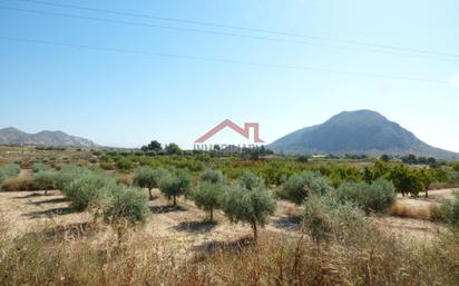 Land for sale in Alicante / Alacant