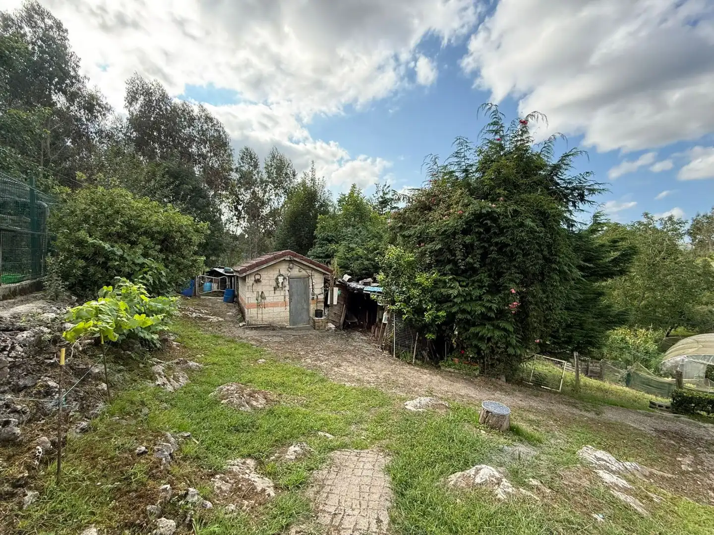 House for sale in Perujo, imagen 50