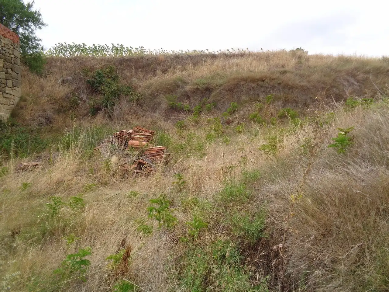 Land for sale in Treviana