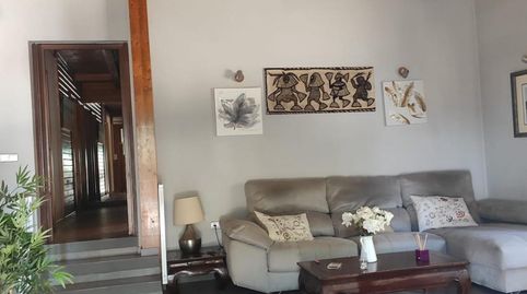 Chalet Finca ecuestre de 1 ha con licencia para 35 caballos. Ideal centro de rehabilitación equina. Casa, piscina y placas solares, imagen 4
