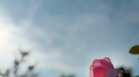 Foto 2 von Country house zum Verkauf in Onda, Castellón