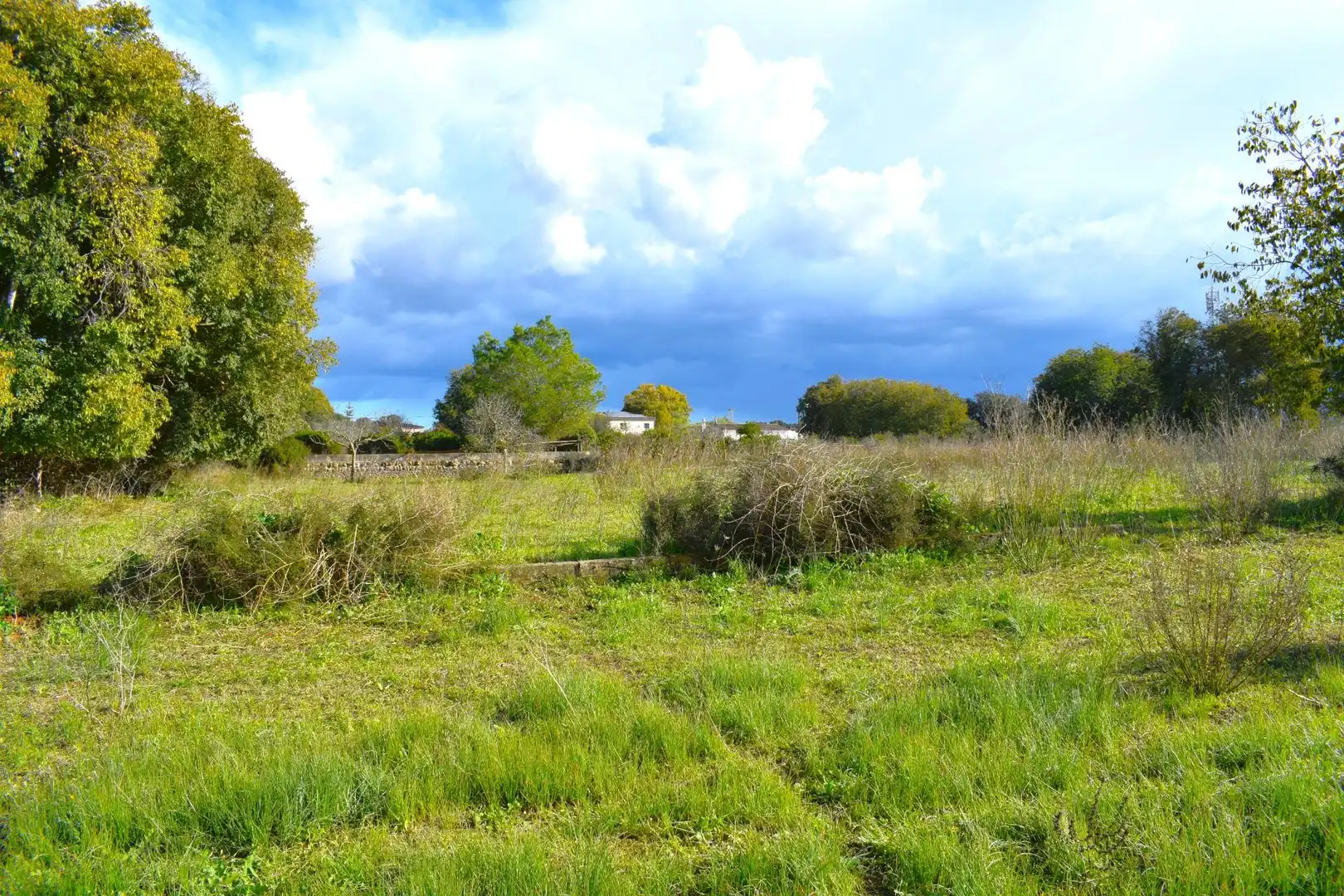 Residential land for sale in Llubí, imagen 28