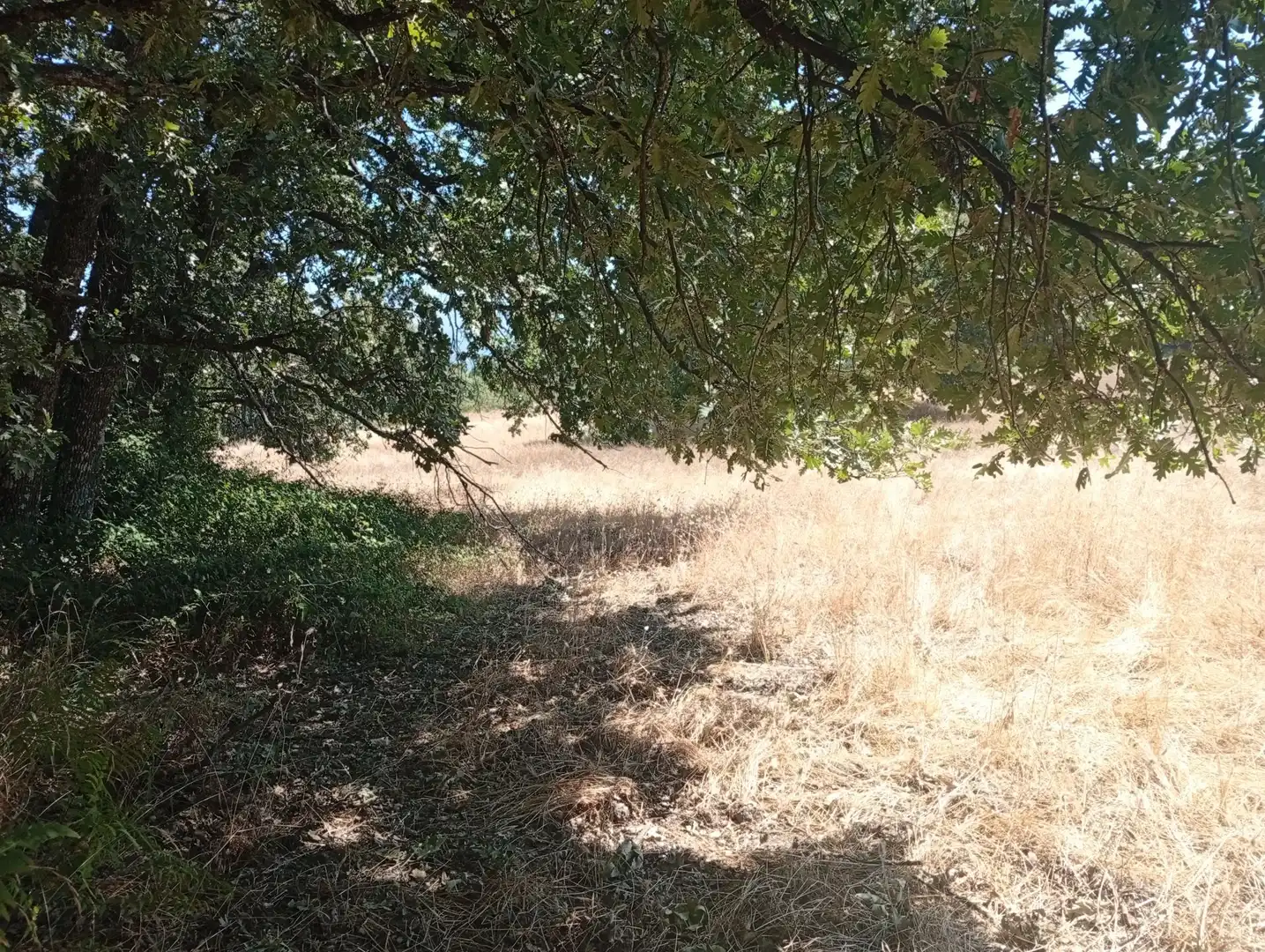Terreni e lotti in vendita a Villanueva de la Vera, imagen 26