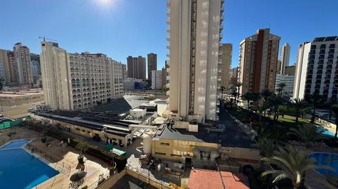 Photo 4 of Study for sale in Rincón Bajo, Benidorm