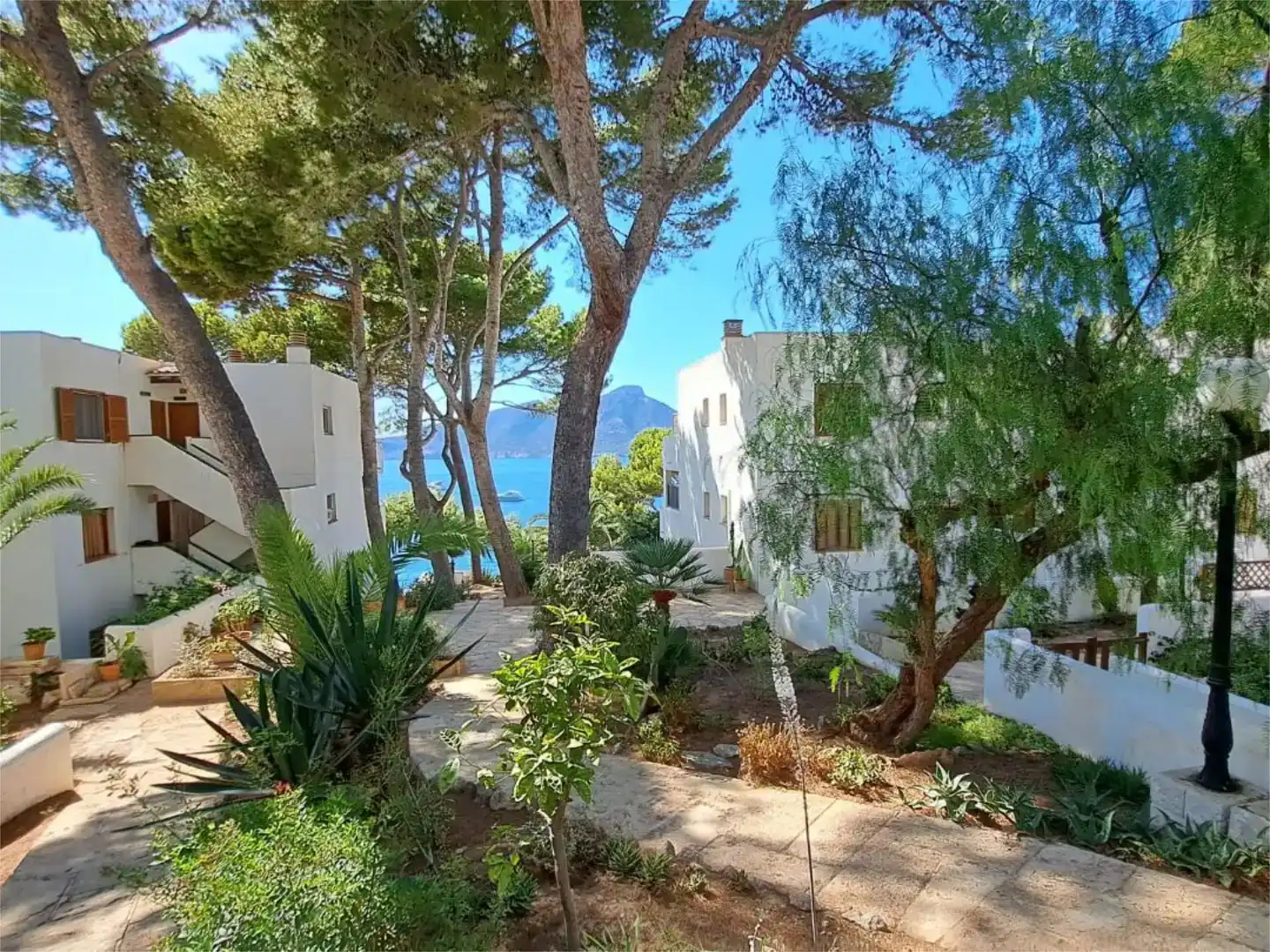Vista exterior de Pis de lloguer en Andratx amb Aire condicionat, Jardí privat i Moblat