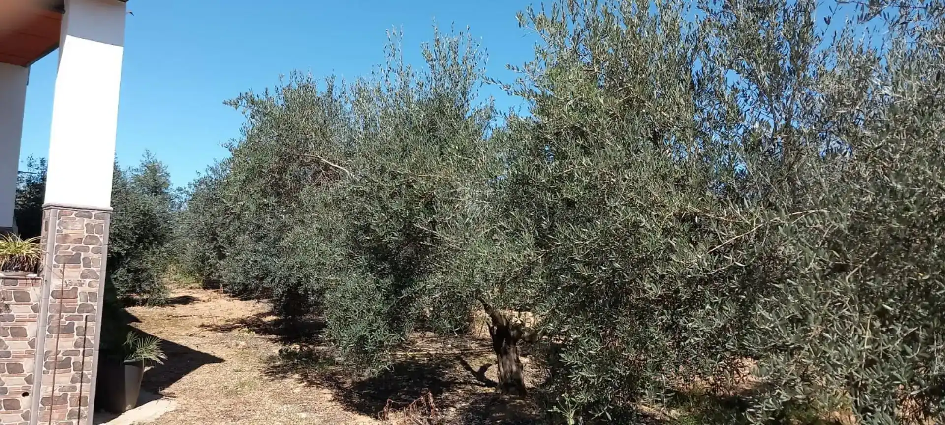 Finca rústica en venda en Alcolea del Río, Sevilla