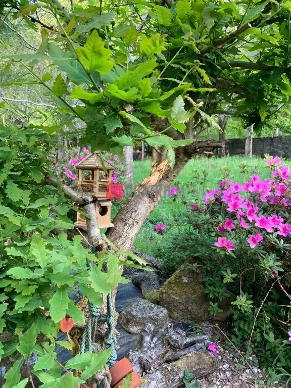 Jardí de Casa o xalet en venda en Ames amb Jardí privat