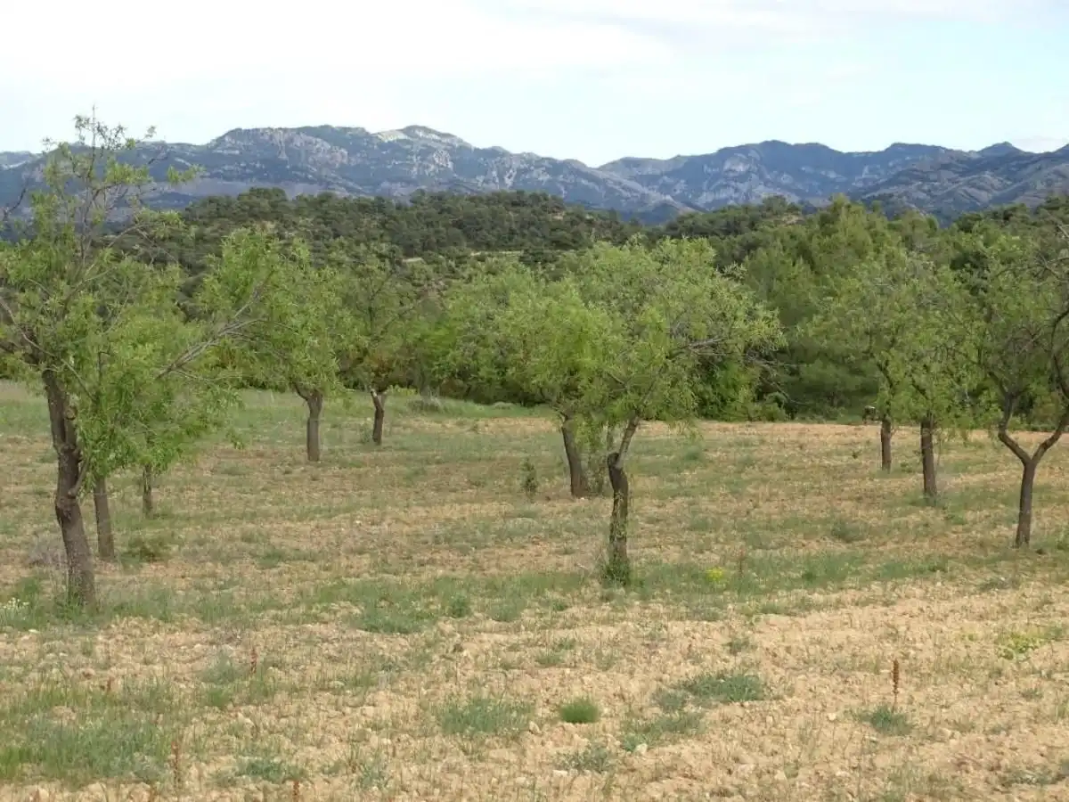Finca rústica en venta en Cretas
