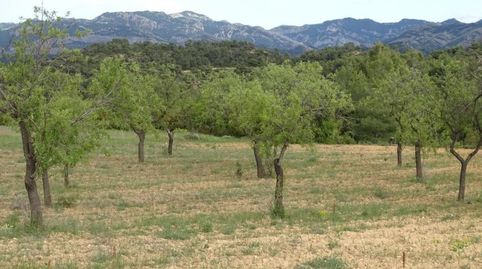 Photo 2 of Country homes for sale in Cretas, Teruel