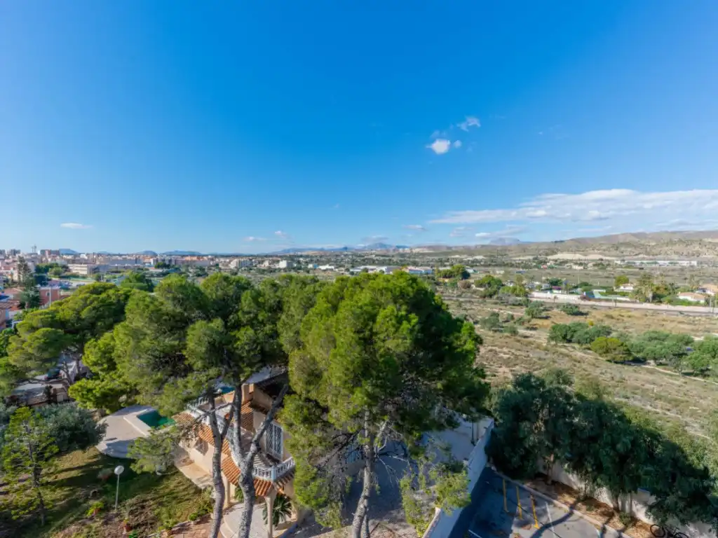 Exterior view of Apartments for sale in Campello Playa