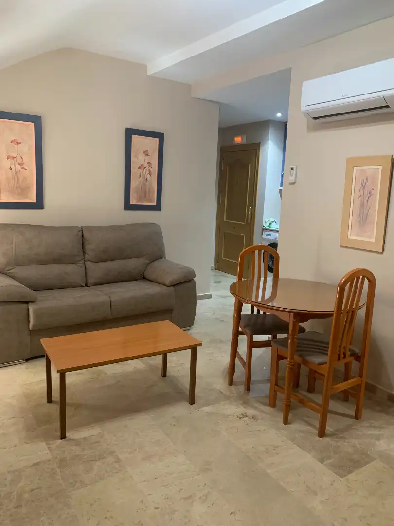 Living room of Study for rent in Ciudad Real Capital  with Air Conditioner, Heating and Terrace