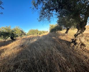 Terreny en venda en Villanueva de la Serena