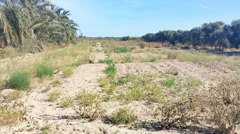 Photo 3 of Industrial land for sale in Carrer Catalan, 2, Crevillent, Alicante
