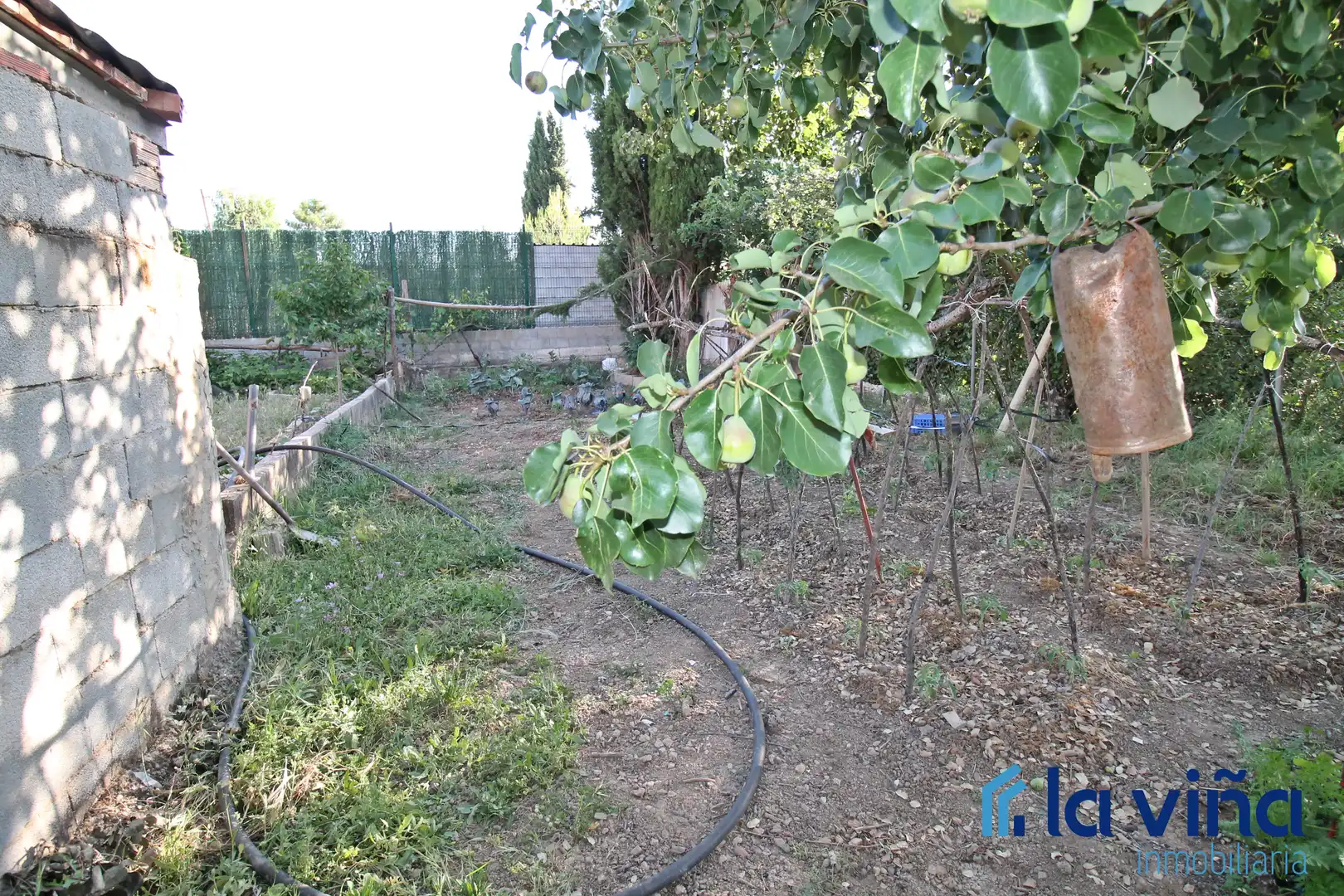 Jardín de Finca rústica en venta en Archidona con Jardín privado, Trastero y Piscina