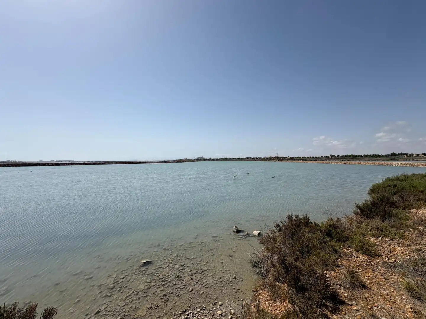 Duplex con terrazza in vendita a Los Peñascos - El Salero - Los Imbernones, imagen 38