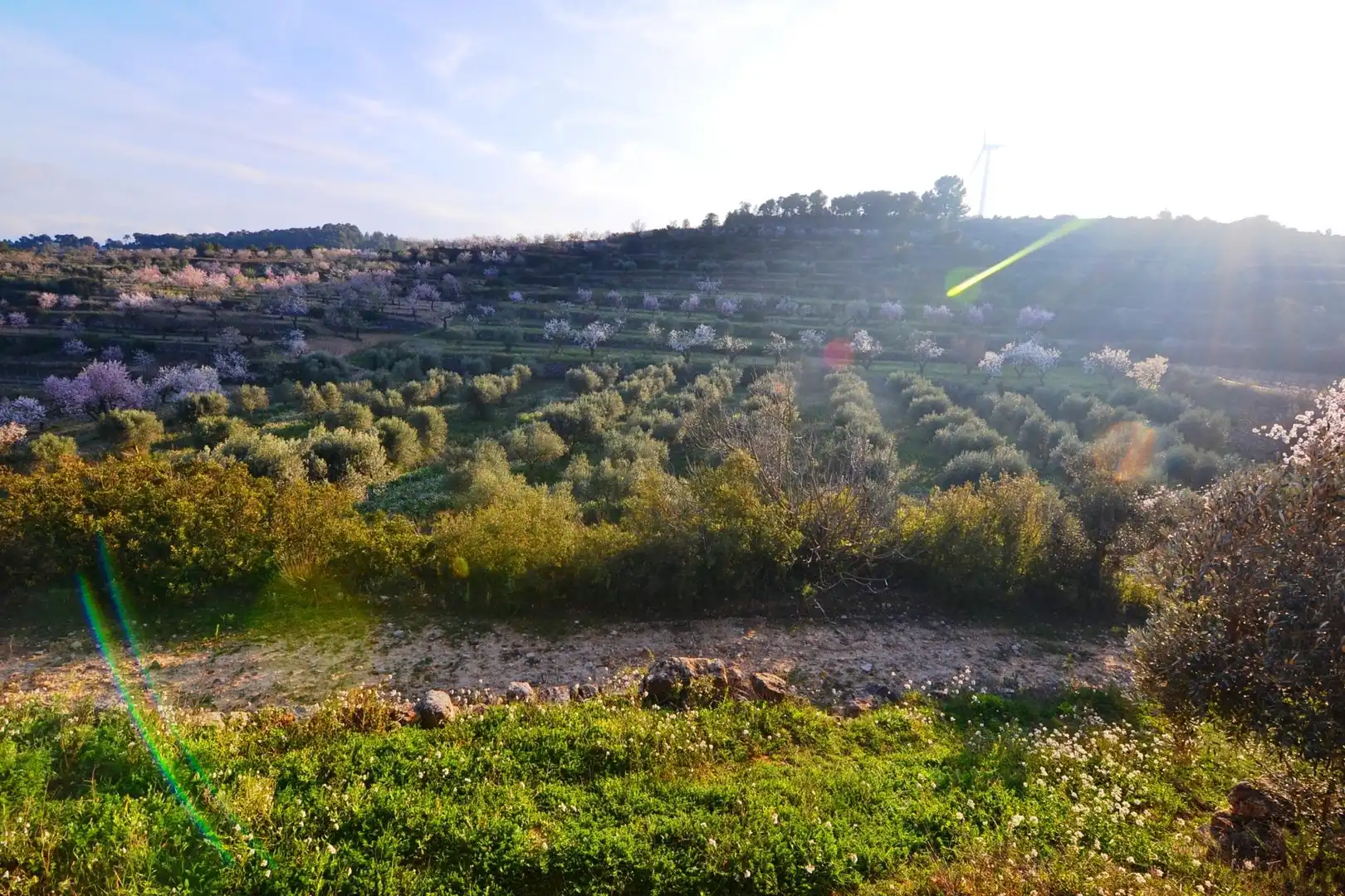 Rural land for sale in Corbera d'Ebre, imagen 51
