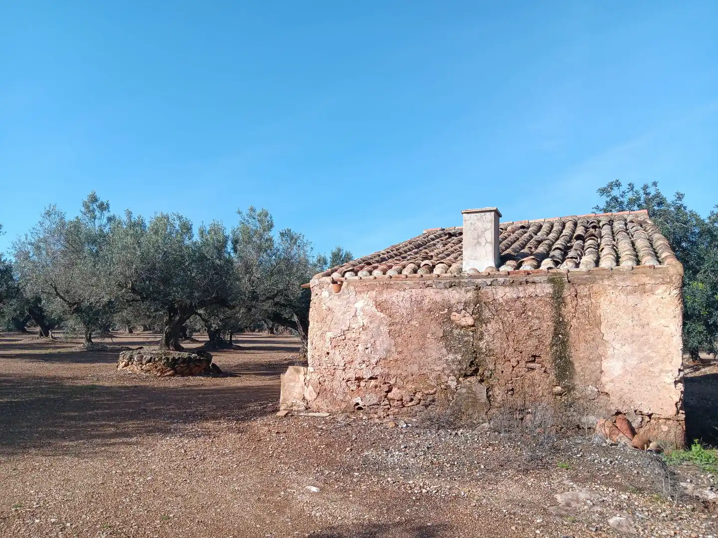 Lands and plots for sale in Roquetes, imagen 2