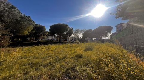 Photo 3 of Residential for sale in Centre, Palamós