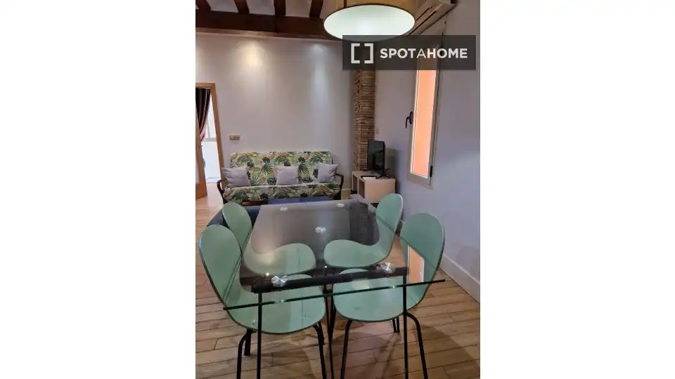 Piso con terraza en alquiler en Ciutat Vella, imagen 5