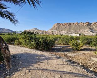 Land for sale in Villanueva del Río Segura