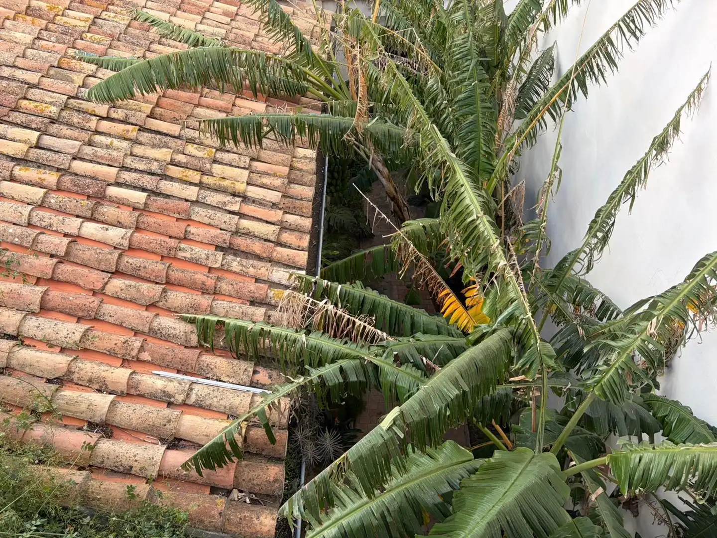 Casa con terraza en venta en Oliva pueblo, imagen 20