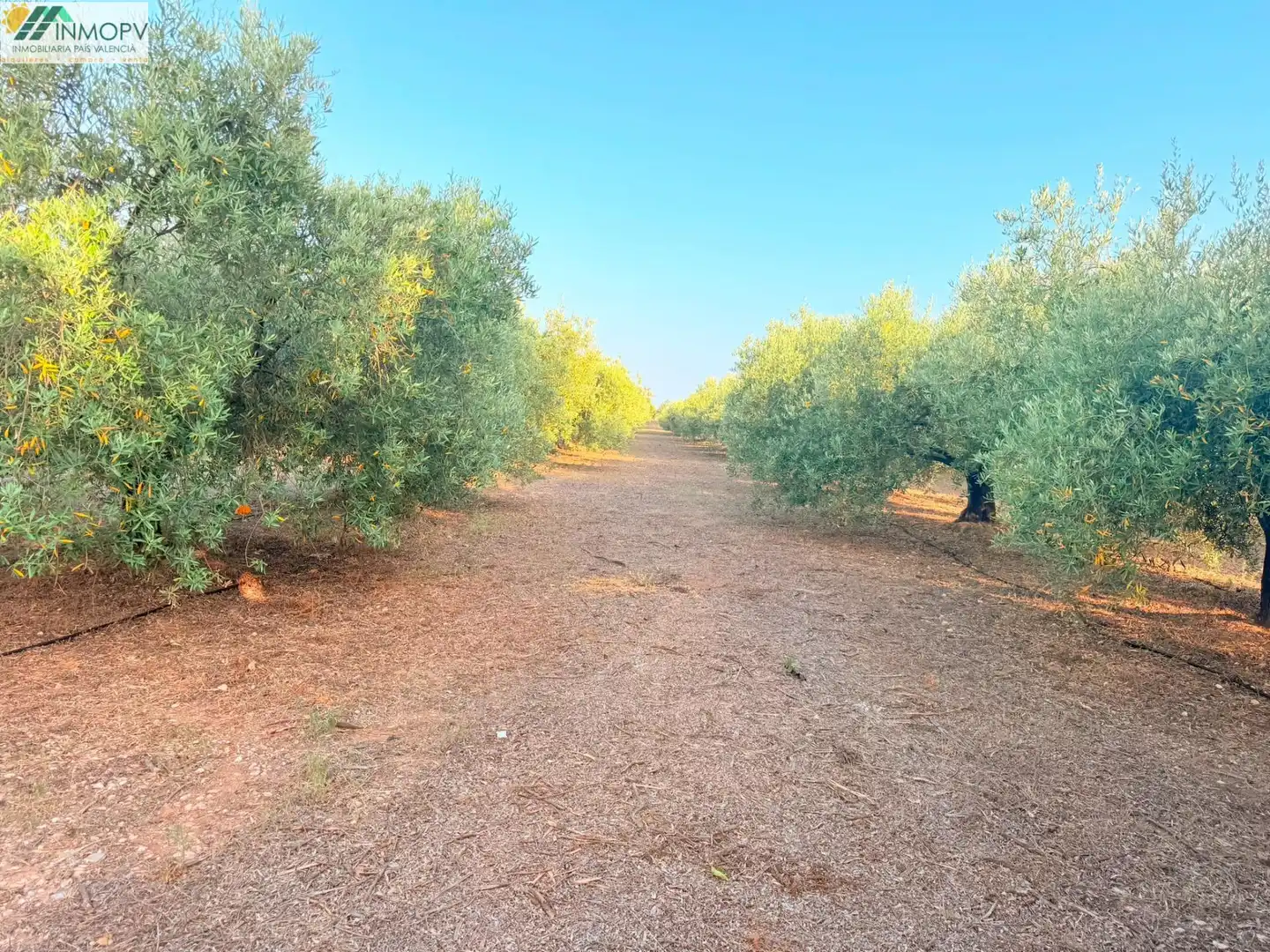 Finca rústica en venda en Alcanar amb Aire condicionat, Jardí privat i Terrassa
