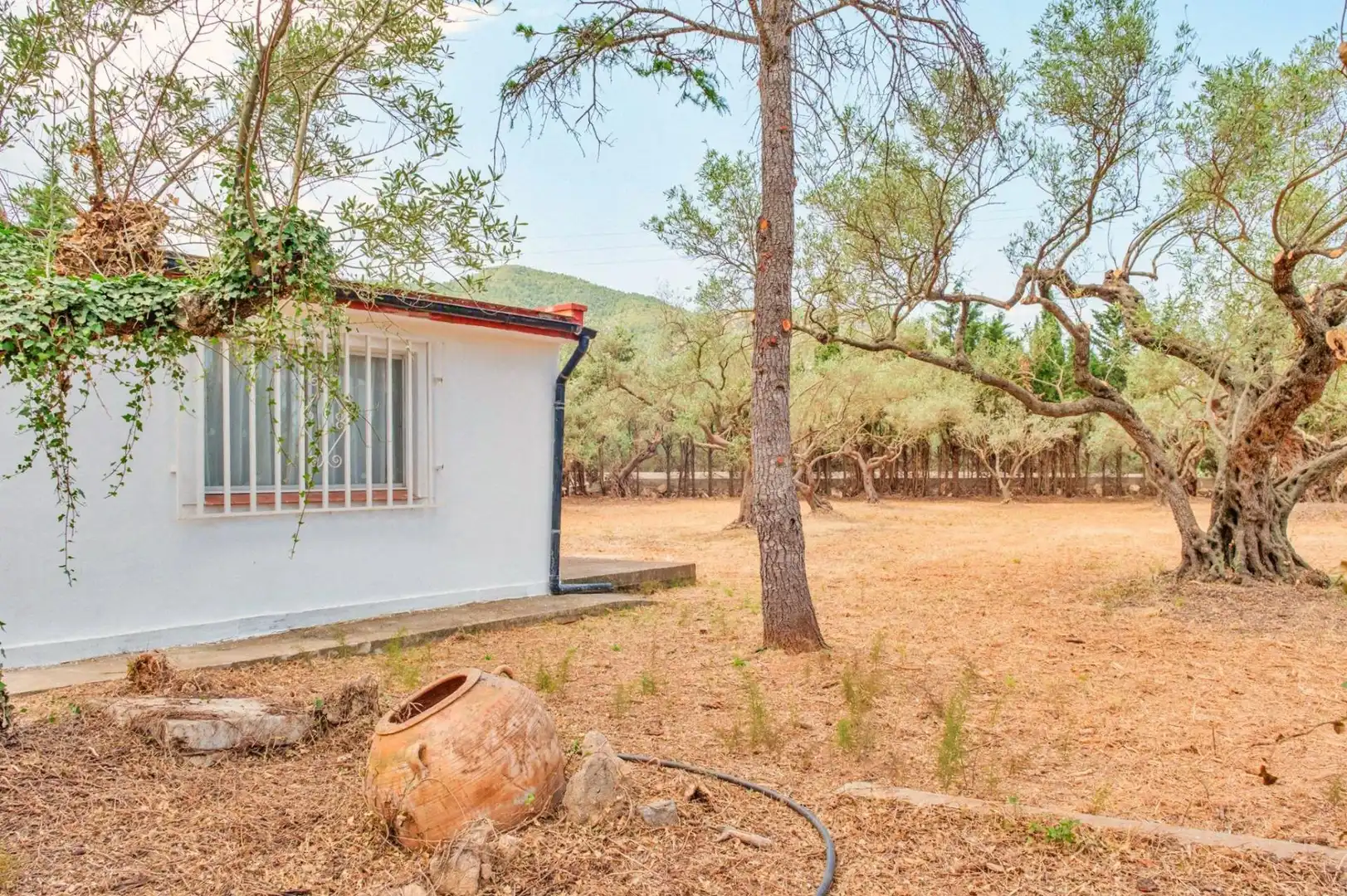 Jardí de Casa o xalet en venda en Tortosa amb Jardí privat