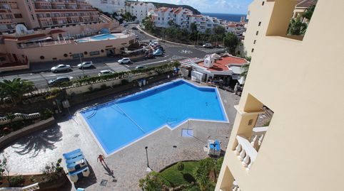 Foto 3 de Estudio de alquiler en Avenida San Francisco, 12, Los Cristianos, Arona